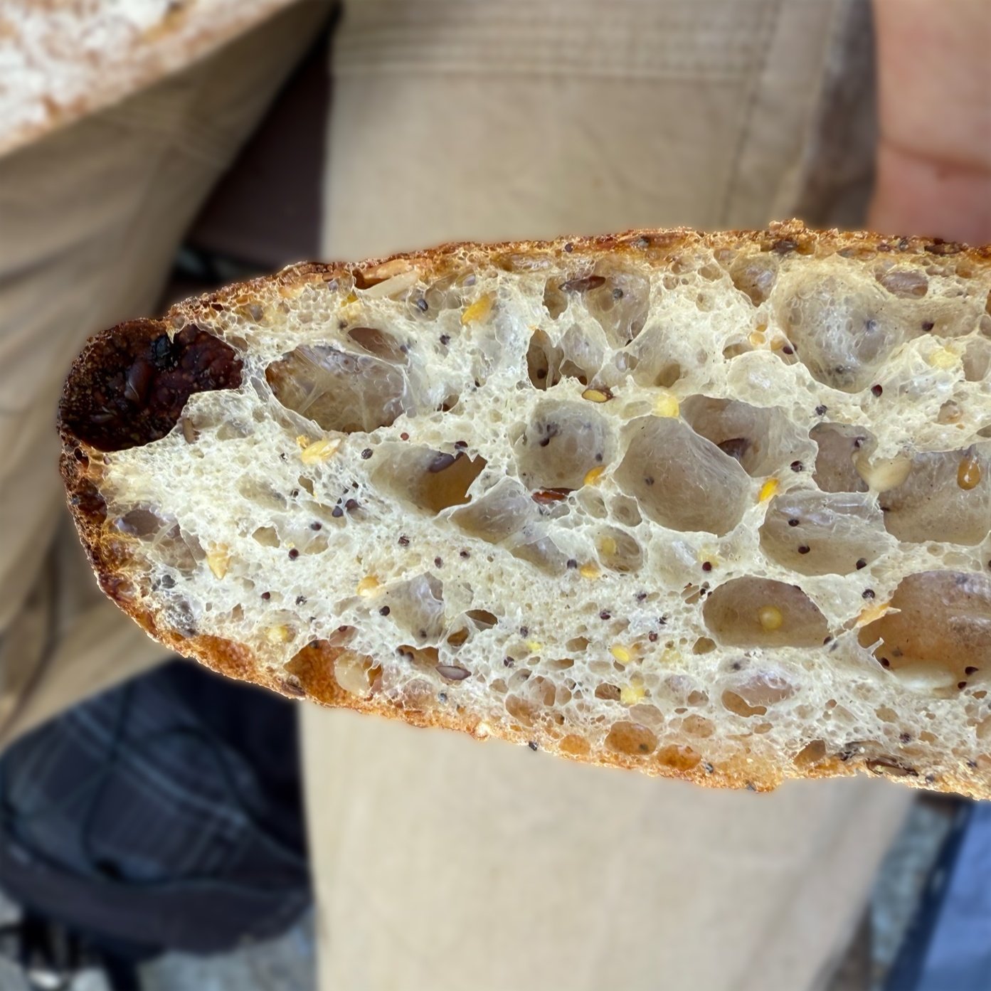 graine-baguette-inside graine-baguette-inside