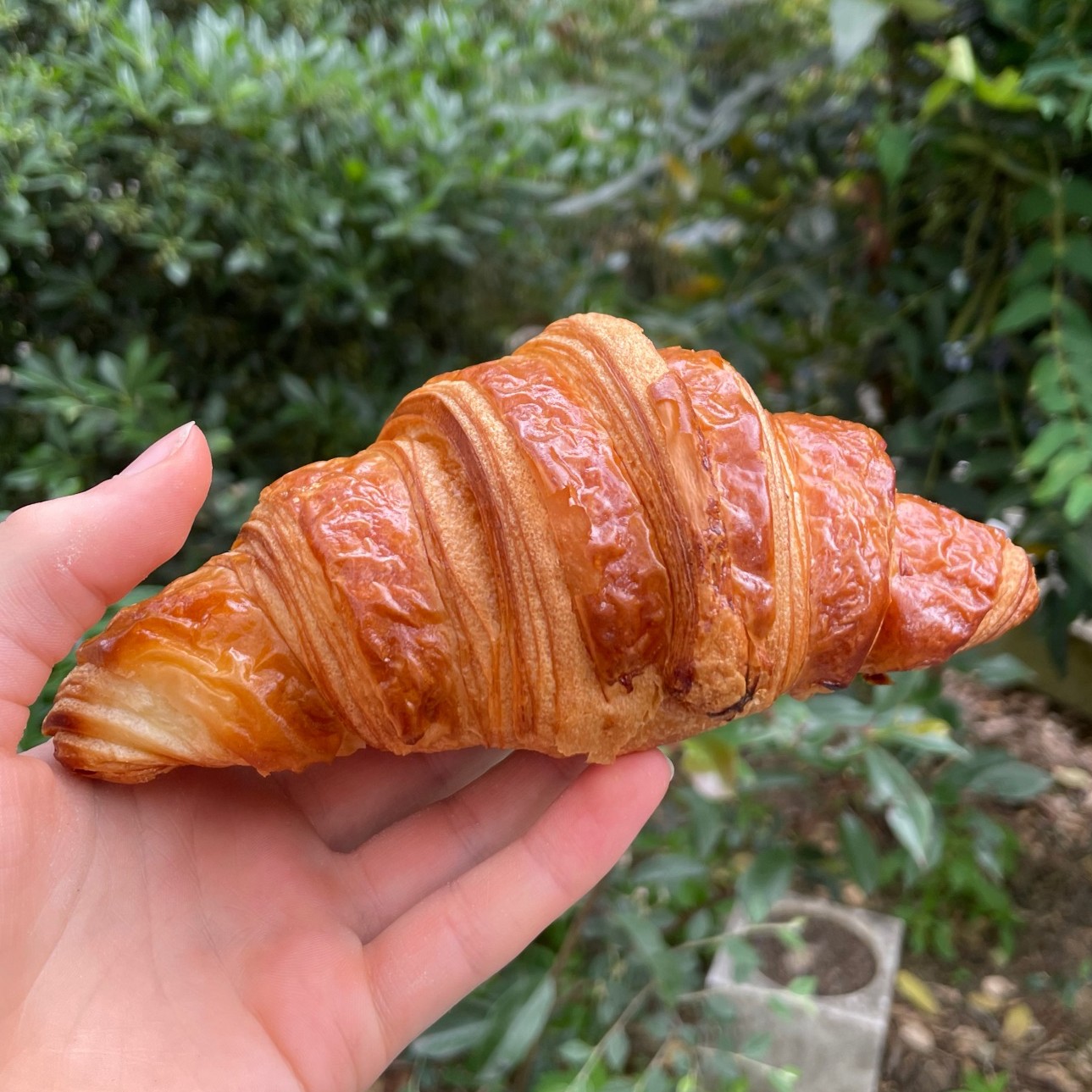 utopie-croissant