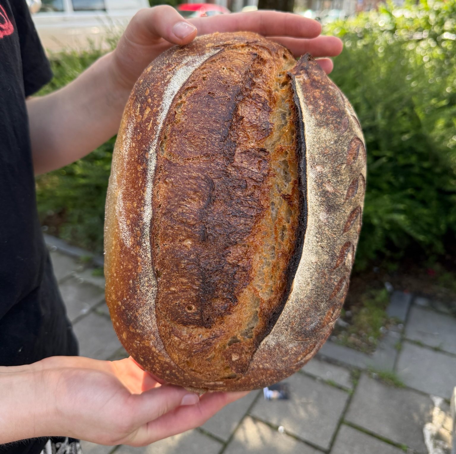 Pompernikkel-sourdough