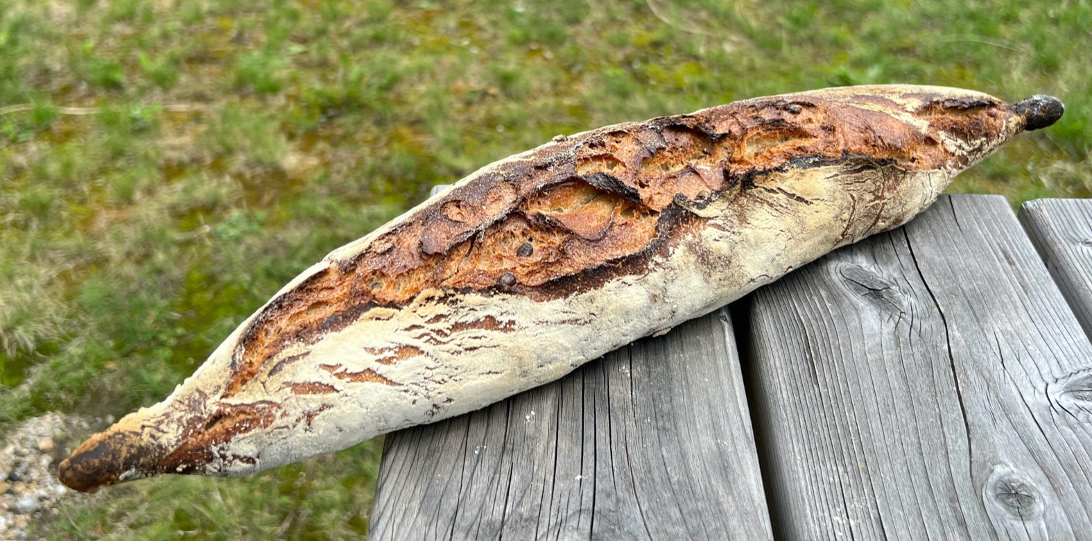 baguette-tradition