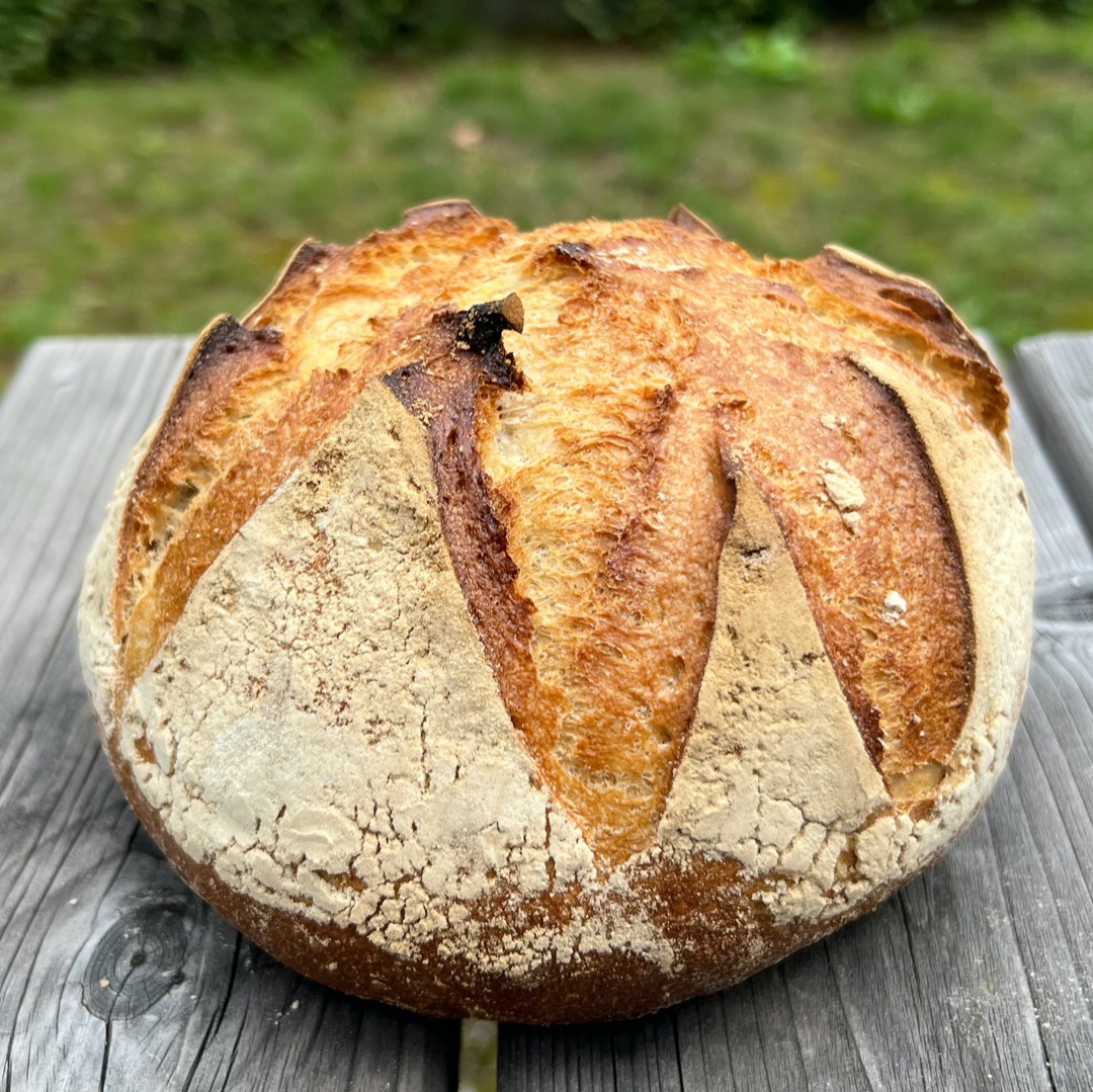 pain-de-campagne