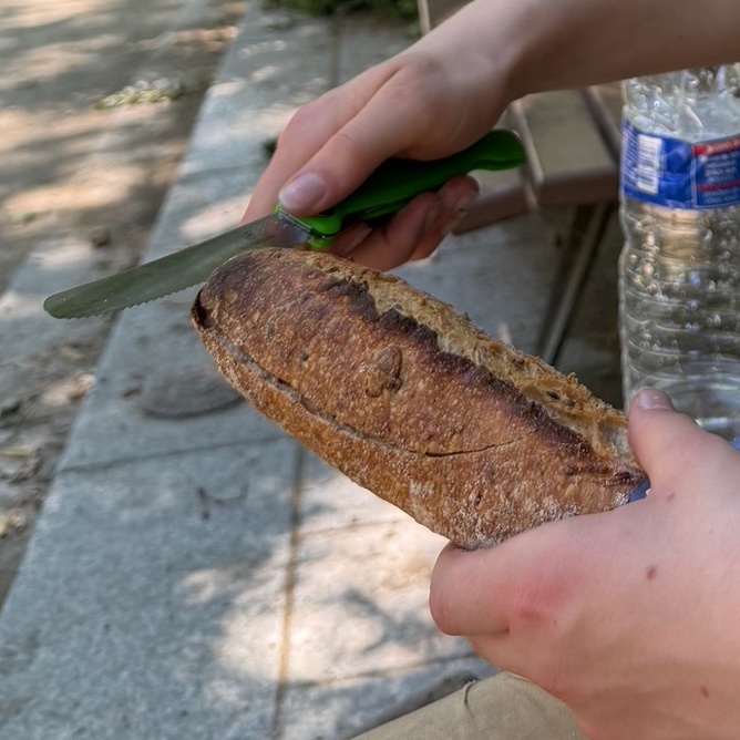 graine-baguette graine-baguette