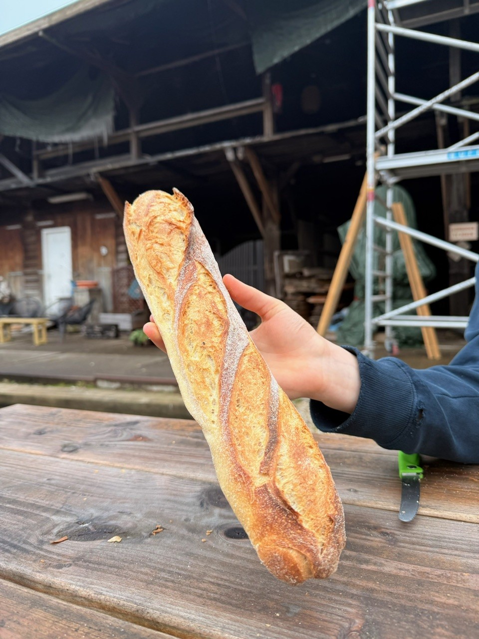 313b348f-ec13-4ba9-b1ed-5e52accc2b76 313b348f-ec13-4ba9-b1ed-5e52accc2b76