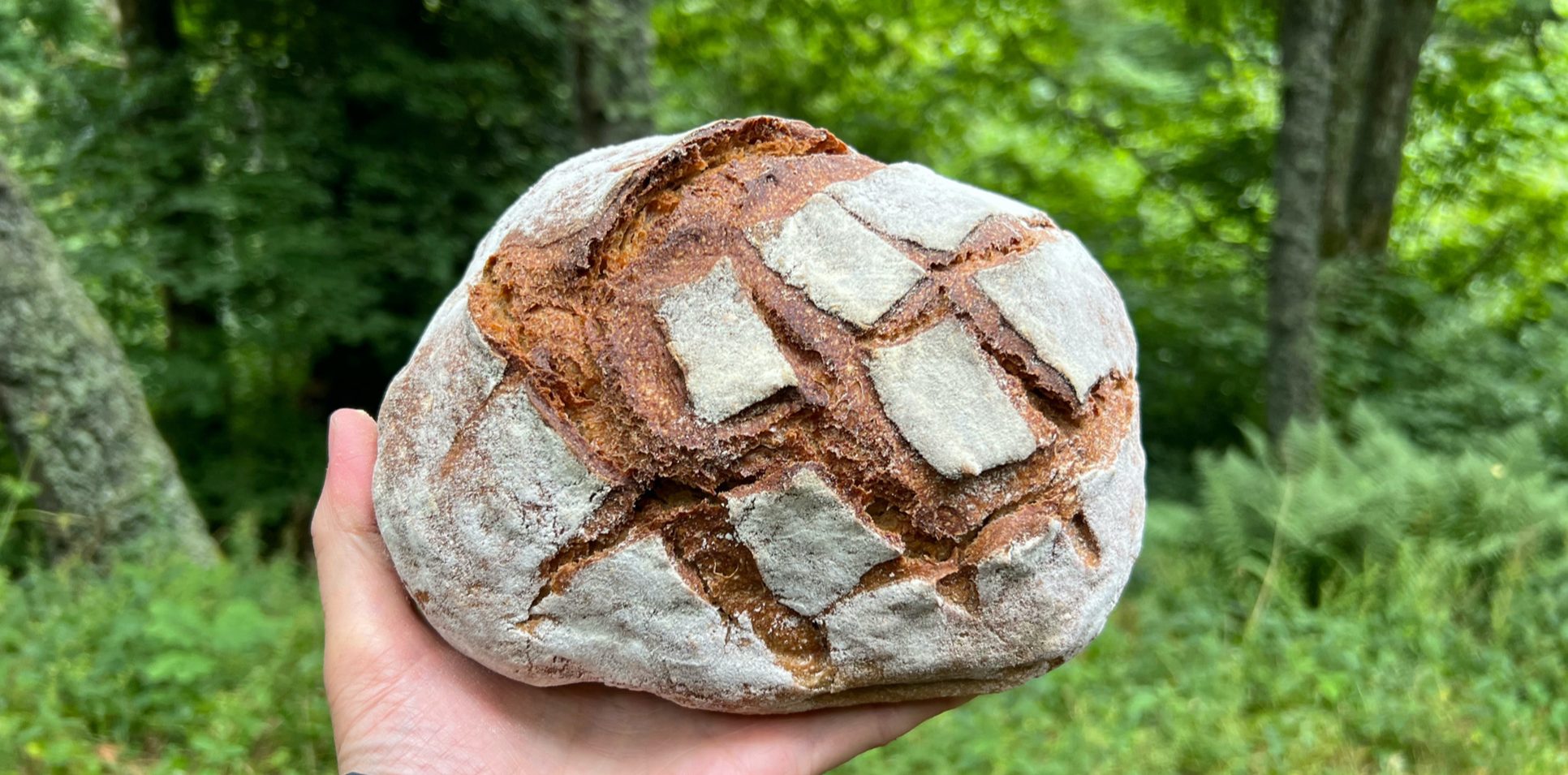 bread