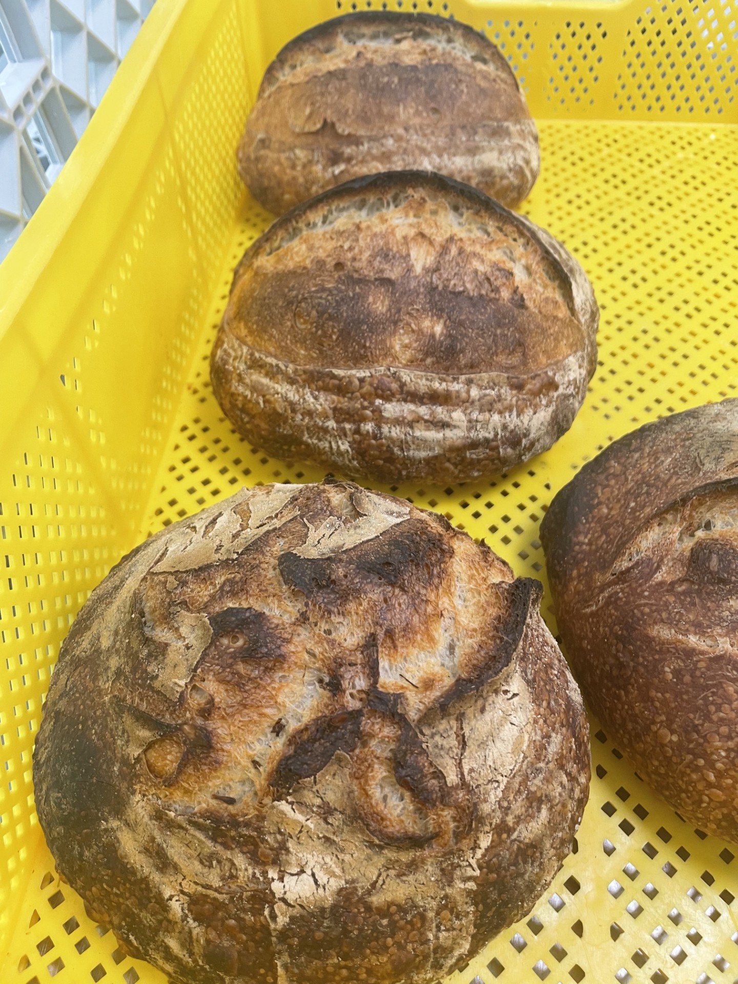 7aa2827d-69d6-4b42-a86d-9cc6dd53636a