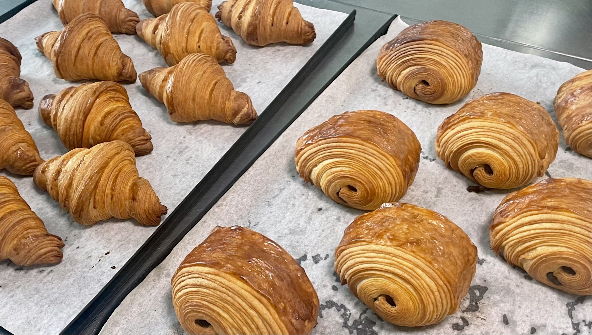 6b317b4c-1610-4f6d-b8e1-f8281bdaa3dd